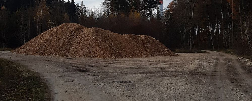 Bunke af lys flis ved en skovkant.